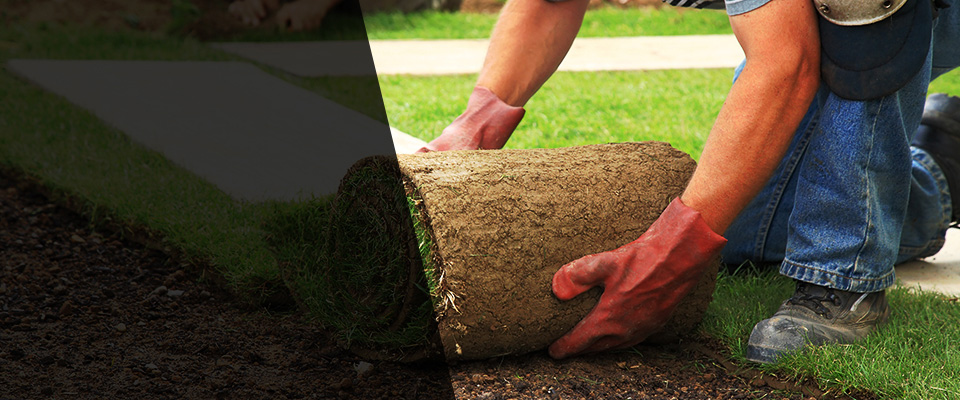 Dighton Landscapers